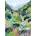 Pieces & Peace - Puzzle Train Travel - 1 000 piese