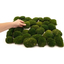 Stabilizovaný kopečkový mech MINI Ball Moss Canopy | Přírodně Zelený | 50g