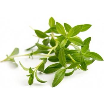 Veritable Вложка за семена Lingot пикантни основни билки (lingot-czaber)