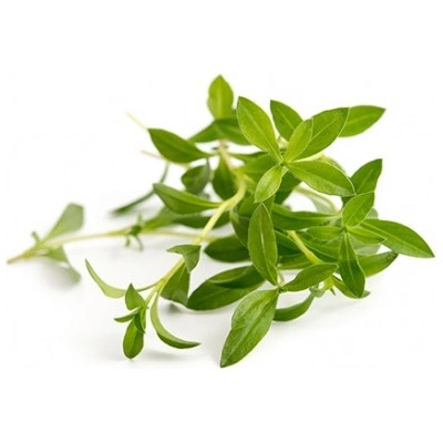 Veritable Вложка за семена Lingot пикантни основни билки (lingot-czaber)