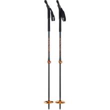 Asnes Tind BC 2-Section Alloy Poles