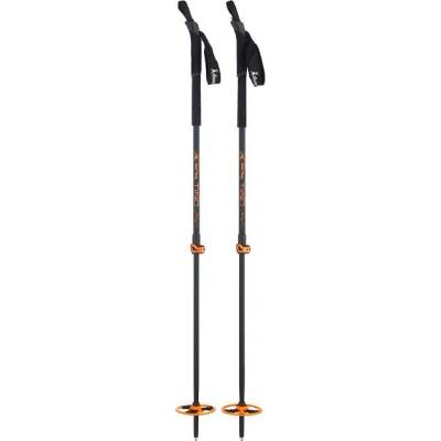 Asnes Tind BC 2-Section Alloy Poles