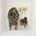 GREEN CEELO: HEART BLANCHE CD
