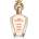 KHADLAJ The Proposal Special Occasion EDP 100 ml
