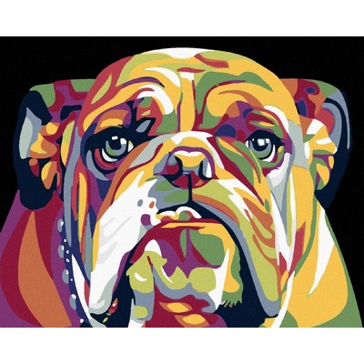 zuty Malování podle čísel Buldog 50 x 40 cm vypnuté plátno na rám 8596530021575