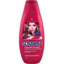 Schwarzkopf Schauma Color Glanz Shampoo 400 ml