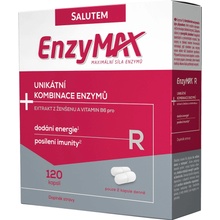 Enzymax R 120 kapslí