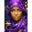 Enjoy - Puzzle Starlit Veil - 1 000 piese