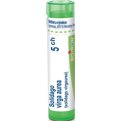 SOLIDAGO VIRGA AUREA POR 5CH GRA 4G