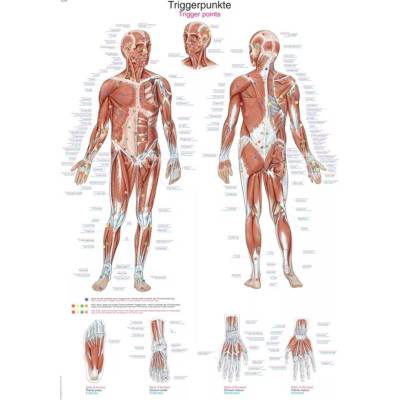 ERLER ZIMMER Plagát Trigger points 70 × 100 cm