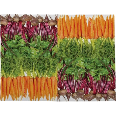 Esschert Design Ubrousky Zelenina papírové 33x33cm barevné
