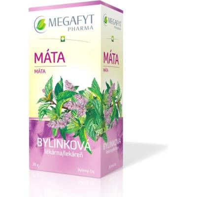 MEGAFYT MATA bylinný čaj 20 x 1,5 g