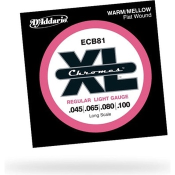 Daddario ECB81