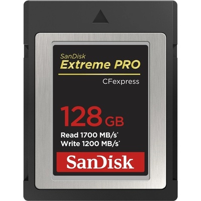 SanDisk 128 GB SDCFE-128G-GN4NN