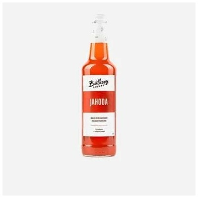 Báťkovy sirupy Jahodový sirup 12 x 500 ml