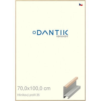 DANTIK rám na obraz 70 x 100 Dýha dub raw
