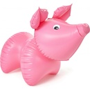 Fatra Prase nafukovací pískací