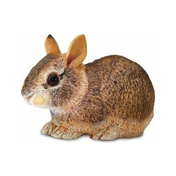 Safari Eastern Cottontail Rabbit Baby
