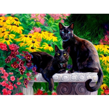 SunsOut - Puzzle Black Beauties - 1 000 piese