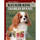 Kavalír King Charles Španěl