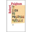 Knihy Co jsem to proboha udělal? - Robert Fulghum