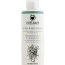 Odylique Čistící šampon proti lupům s kopřivou přesličkou a tea tree olejem 200 ml