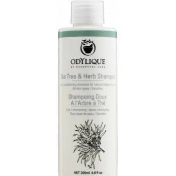 Odylique Čistící šampon proti lupům s kopřivou přesličkou a tea tree olejem 200 ml