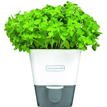 Cole & mason Самополиваща се кашпа за зелени подправки или цветя (Cole-&-Mason-H-105249)