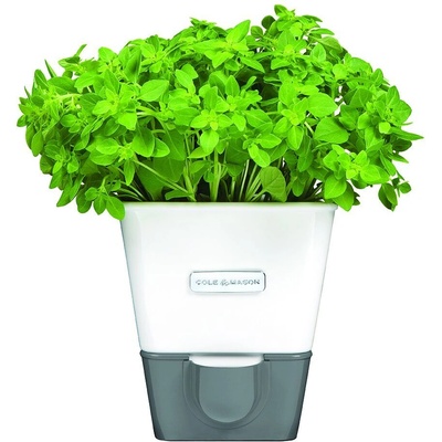 Cole & mason Самополиваща се кашпа за зелени подправки или цветя (Cole-&-Mason-H-105249)
