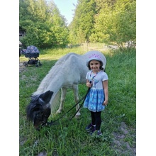 Projížďky na ponících v rodinné farmě Černá vovce Třeboc