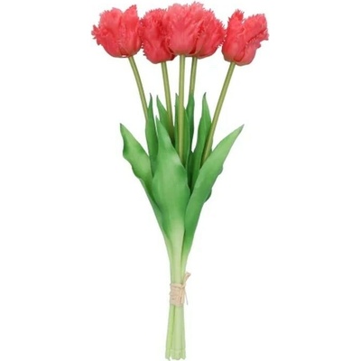 Kytica 5ks ružových realistických tulipánov Tulips Papagayo - 39 cm - daan kromhout