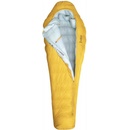 Patizon G 250 S