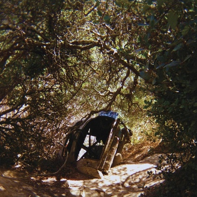 Ty Segall - POSSESSION CD