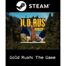 Gold Rush: The Game