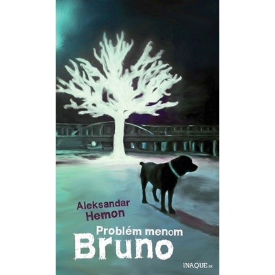 Problém menom Bruno - Aleksandar Hemon