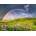 Ravensburger - Puzzle Power of Nature: Spectacular rainbow - 1 500 piese