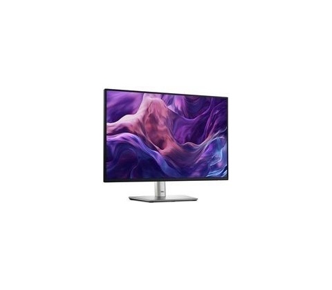 Dell P2425E