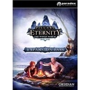Pillars of Eternity: The White March Expansion Pass