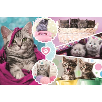 Image 1 of Trefl - Puzzle Kittens 160 pieces - 160 piese