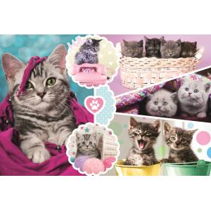 Trefl - Puzzle Kittens 160 pieces - 160 piese