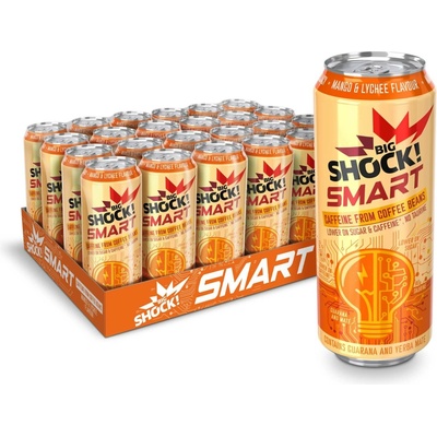Big Shock! Smart Mango & Lyche 24 x 0,5 l