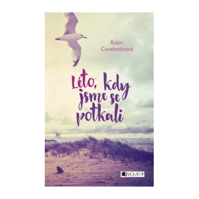 Léto, kdy jsme se potkali - Robin Constantine