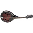 Mandolíny Stagg M50 E