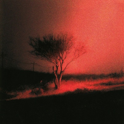 JOJI - PISS IN THE WIND CD