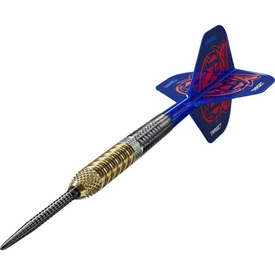 steel Target Raymond Van Barneveld G6 23g SP 95% wolfram
