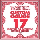 ERNIE BALL 1017