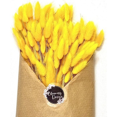 Sušený lagurus (králičí ocásek) žlutý 45g
