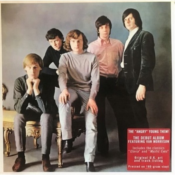THEM: ANGRY YOUNG THEM LP
