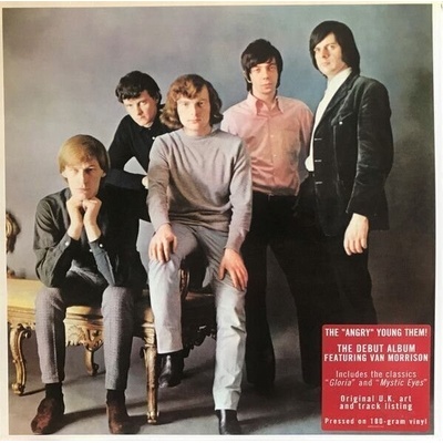 THEM: ANGRY YOUNG THEM LP