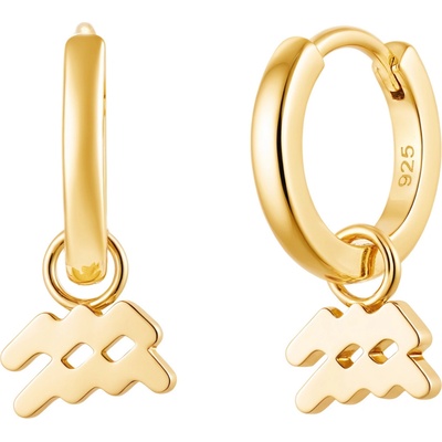 Olivie Strieborné náušnice VODNÁR GOLD 9597